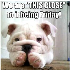 It’s here!!I. If you are reading this take 50% off any bundle of two! ☘️☘️☘️